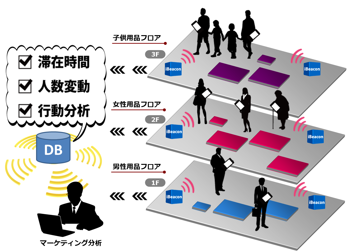 分析くん